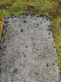 image of grave number 767205
